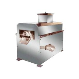 Mango Pulp & Juicer Machine